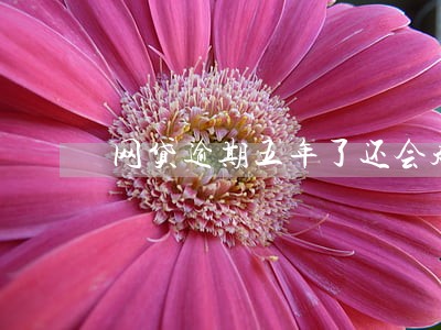 网贷逾期五年了还会起诉吗 网贷逾期五年了还会起诉吗
