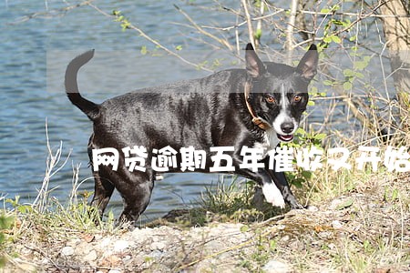 网贷逾期五年催收又开始了 网贷逾期五年催收又开始了