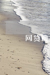 网贷逾期五年内可以更新吗