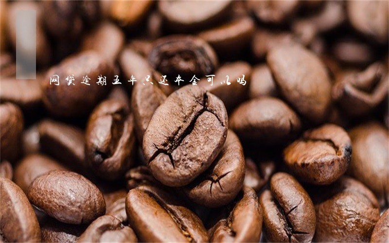 网贷逾期五年只还本金可以吗