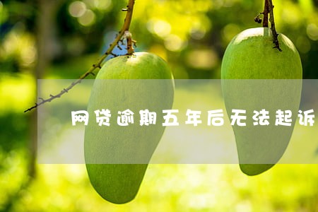 网贷逾期五年后无法起诉 网贷逾期五年后无法起诉