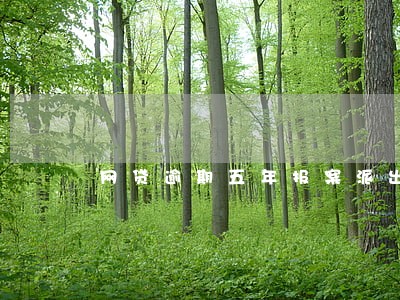 网贷逾期五年报案派出所要受理吗 网贷逾期五年报案派出所要受理吗