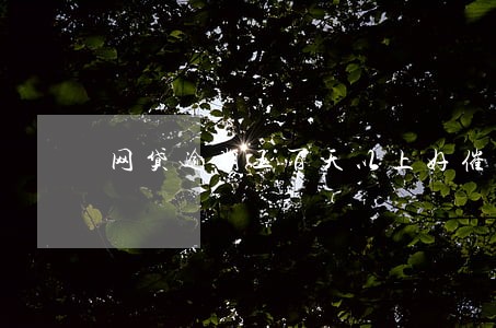 网贷逾期五百天以上好催吗 网贷逾期五百天以上好催吗