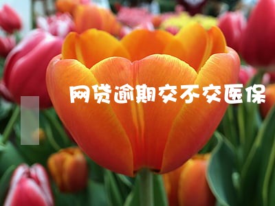 网贷逾期交不交医保