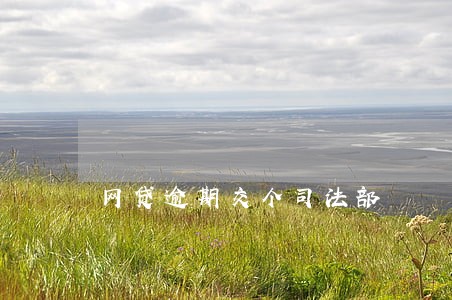网贷逾期交个司法部 网贷逾期交个司法部