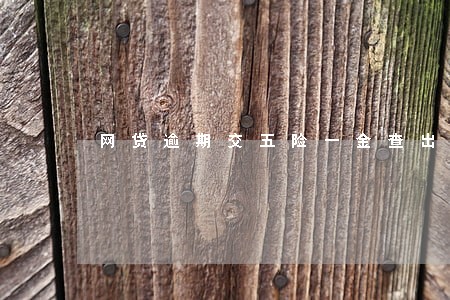 网贷逾期交五险一金查出来吗