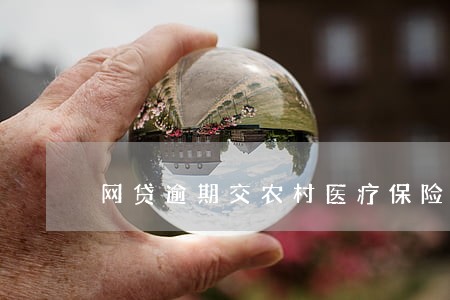 网贷逾期交农村医疗保险 网贷逾期交农村医疗保险
