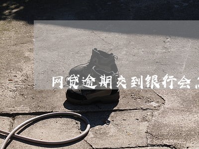 网贷逾期交到银行会怎么样 网贷逾期交到银行会怎么样