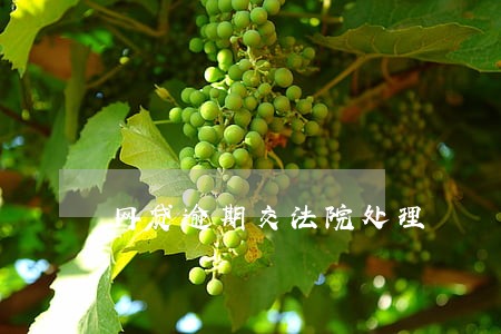 网贷逾期交法院处理 网贷逾期交法院处理