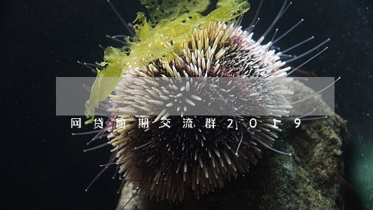 网贷逾期交流群2019 网贷逾期交流群2019