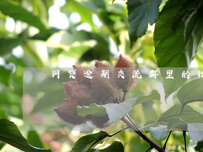 网贷逾期交流群里的托 网贷逾期交流群里的托