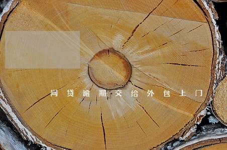 网贷逾期交给外包上门 网贷逾期交给外包上门
