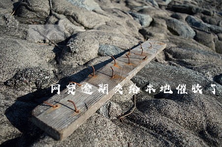 网贷逾期交给本地催收了