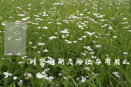网贷逾期交给法务有用么 网贷逾期交给法务有用么
