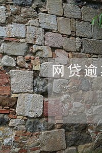 网贷逾期交给营销处理 网贷逾期交给营销处理