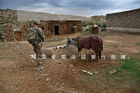 网贷逾期交给银行处理 网贷逾期交给银行处理