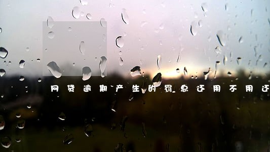 网贷逾期产生的罚息还用不用还 网贷逾期产生的罚息还用不用还