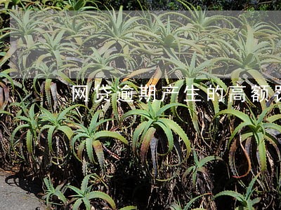 网贷逾期产生的高额罚息协商 网贷逾期产生的高额罚息协商
