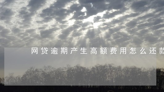 网贷逾期产生高额费用怎么还款 网贷逾期产生高额费用怎么还款