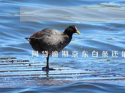 网贷逾期京东白条还能不能用 网贷逾期京东白条还能不能用