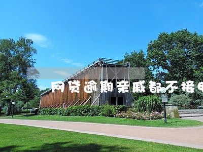 网贷逾期亲戚都不接电话 网贷逾期亲戚都不接电话