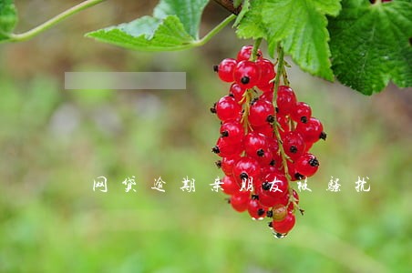 网贷逾期亲朋友被骚扰