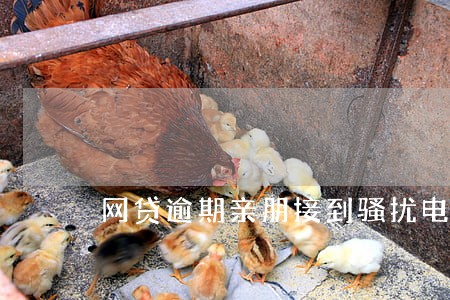 网贷逾期亲朋接到骚扰电话