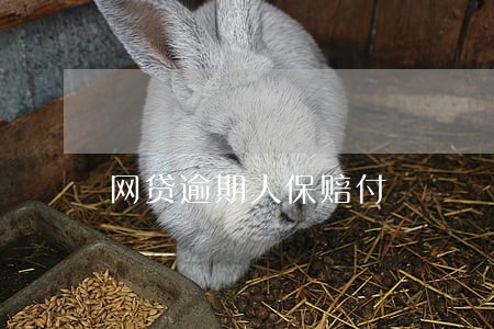 网贷逾期人保赔付 网贷逾期人保赔付
