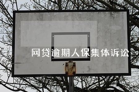 网贷逾期人保集体诉讼 网贷逾期人保集体诉讼