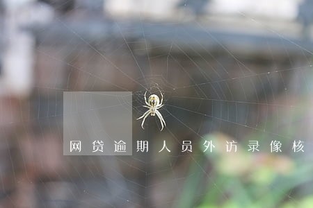 网贷逾期人员外访录像核查 网贷逾期人员外访录像核查