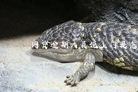 网贷逾期人员说上门是怎么回事 网贷逾期人员说上门是怎么回事