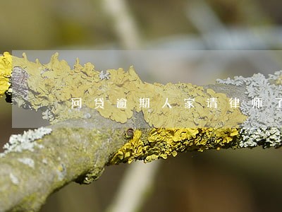 网贷逾期人家请律师了怎么办 网贷逾期人家请律师了怎么办