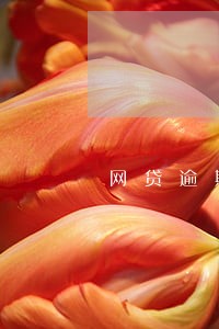 网贷逾期人工会发短信吗 网贷逾期人工会发短信吗