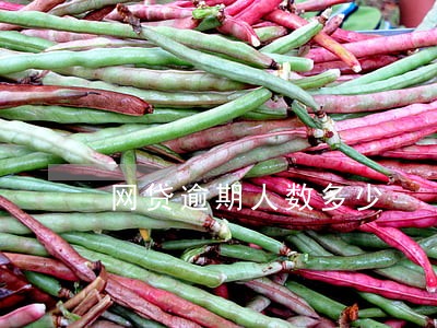 网贷逾期人数多少 网贷逾期人数多少