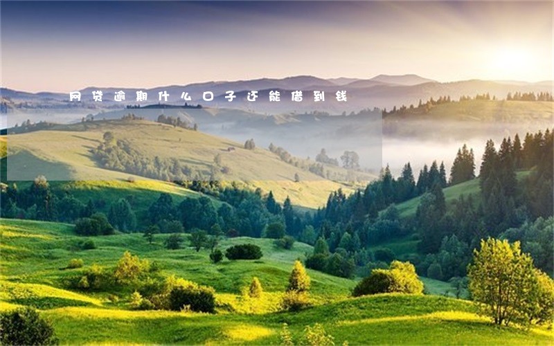 网贷逾期什么口子还能借到钱 网贷逾期什么口子还能借到钱