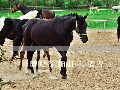 网贷逾期什么情况 网贷逾期什么情况