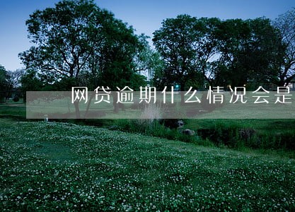 网贷逾期什么情况会是黑户 网贷逾期什么情况会是黑户