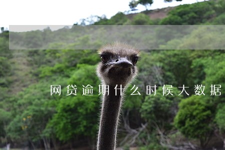 网贷逾期什么时候大数据更新 网贷逾期什么时候大数据更新