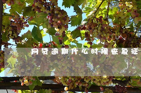 网贷逾期什么时候恢复征信 网贷逾期什么时候恢复征信