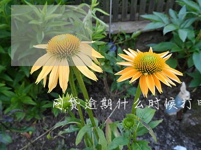 网贷逾期什么时候打电话最疯狂 网贷逾期什么时候打电话最疯狂