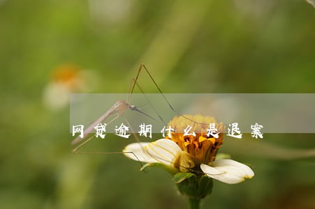 网贷逾期什么是退案 网贷逾期什么是退案