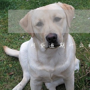 网贷逾期什么样的话语属于恐吓 网贷逾期什么样的话语属于恐吓