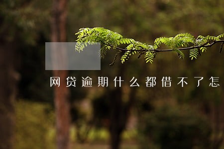 网贷逾期什么都借不了怎么办 网贷逾期什么都借不了怎么办