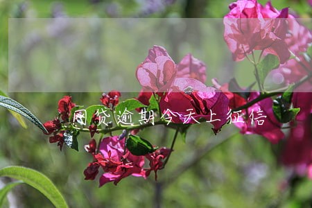 网贷逾期今天上征信 网贷逾期今天上征信