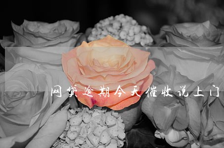 网贷逾期今天催收说上门了 网贷逾期今天催收说上门了