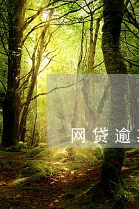 网贷逾期今天发短信到法庭 网贷逾期今天发短信到法庭