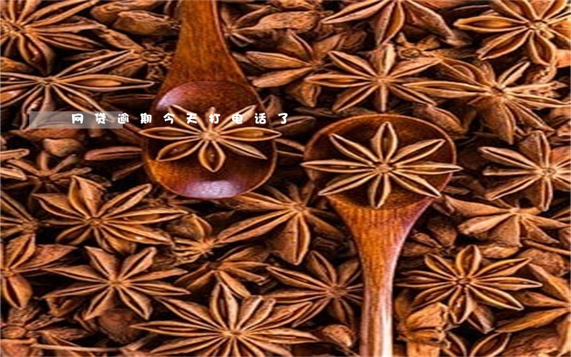 网贷逾期今天打电话了 网贷逾期今天打电话了