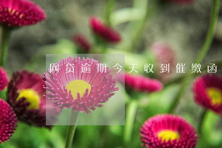 网贷逾期今天收到催缴函 网贷逾期今天收到催缴函