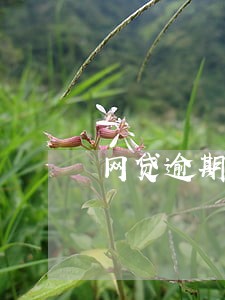 网贷逾期今天有个人来送函件 网贷逾期今天有个人来送函件