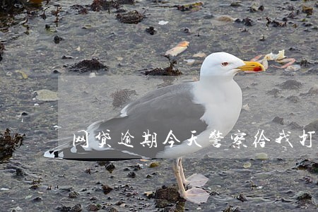 网贷逾期今天警察给我打电话了 网贷逾期今天警察给我打电话了